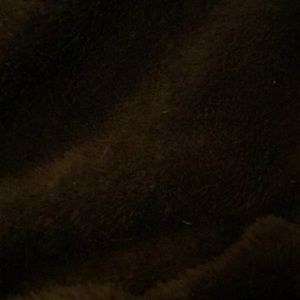 Meet your Posher, Evan